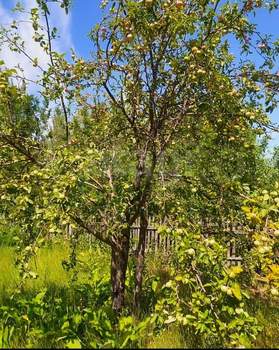 Дом 20м², 2-этажный, участок 4 сот.