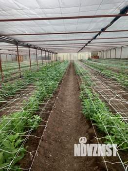 Дом 64м², 1-этажный, участок 8 сот.