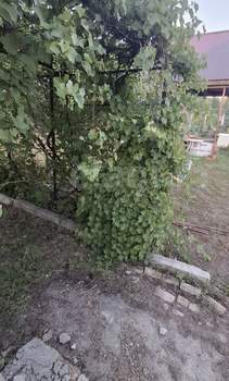 Дом 35м², 2-этажный, участок 5 сот.