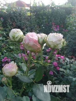 Дом 181м², 2-этажный, участок 10 сот.