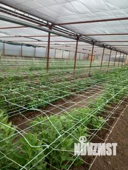 Дом 64м², 1-этажный, участок 8 сот.