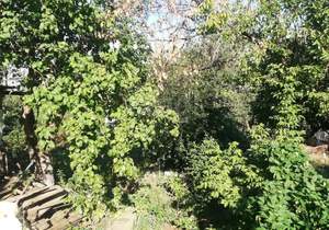 Дом 43м², 1-этажный, участок 6 сот.