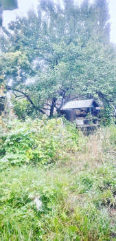 Дом 50м², 1-этажный, участок 529 сот.