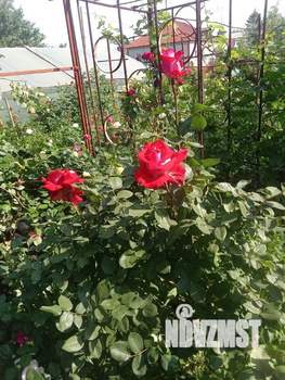 Дом 181м², 2-этажный, участок 10 сот.