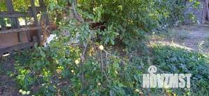 Дом 84м², 1-этажный, участок 10 сот.