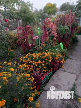 Дом 39м², 1-этажный, участок 5 сот.