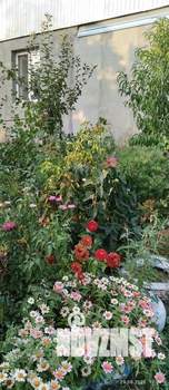 Дом 75м², 1-этажный, участок 11 сот.