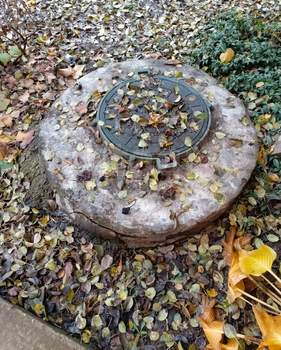 Дом 52м², 1-этажный, участок 4 сот.