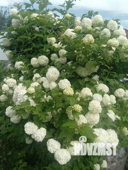 Дом 181м², 2-этажный, участок 10 сот.