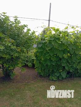 Дом 36м², 1-этажный, участок 6 сот.