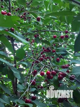 Дом 165м², 2-этажный, участок 4 сот.