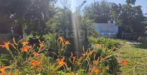 Дом 62м², 1-этажный, участок 6 сот.