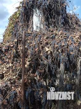 Дом 181м², 2-этажный, участок 10 сот.