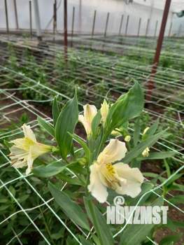 Дом 64м², 1-этажный, участок 8 сот.