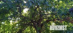 Дом 84м², 1-этажный, участок 10 сот.