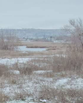 Дом 88м², 1-этажный, участок 7 сот.