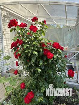 Дом 220м², 2-этажный, участок 5 сот.