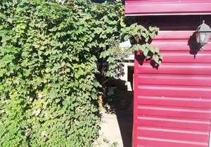 Дом 43м², 1-этажный, участок 6 сот.  