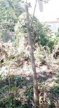 Дом 51м², 1-этажный, участок 6 сот.  