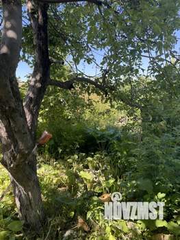 Дом 81м², 1-этажный, участок 14 сот.  