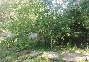 Дом 43м², 1-этажный, участок 6 сот.  