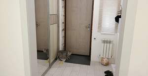 Дом 114м², 2-этажный, участок 6 сот.  