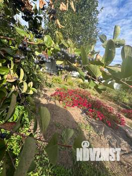 Дом 41м&sup2;, 1-этажный, участок 5 сот.  