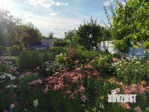 Дом 36м², 1-этажный, участок 6 сот.  