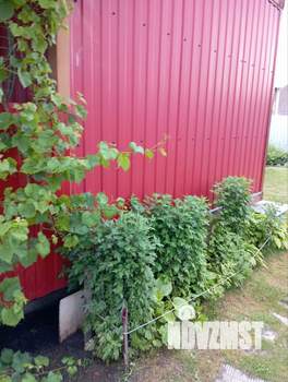 Дом 36м², 1-этажный, участок 6 сот.  