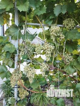 Дом 220м², 2-этажный, участок 5 сот.  