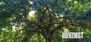 Дом 84м&sup2;, 1-этажный, участок 10 сот.  