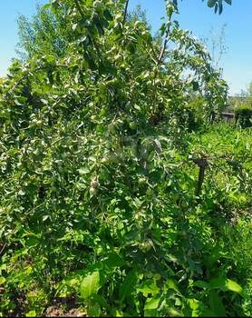 Дом 20м², 2-этажный, участок 4 сот.  