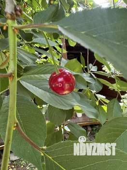 Дом 145м², 1-этажный, участок 5 сот.  