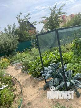 Дом 45м², 1-этажный, участок 5 сот.  