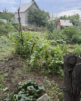 Дом 55м², 1-этажный, участок 6 сот.  