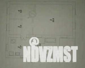 Дом 52м&sup2;, 1-этажный, участок 4 сот.  