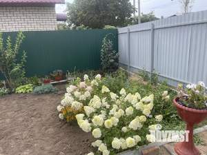 Дом 50м², 1-этажный, участок 5 сот.  
