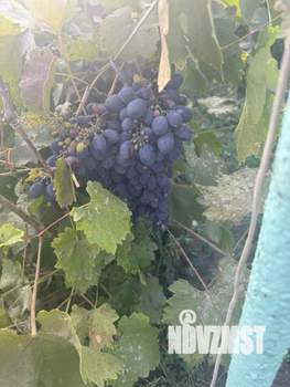 Дом 41м&sup2;, 1-этажный, участок 5 сот.  