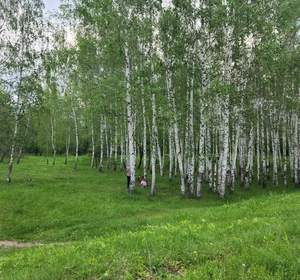 Дом 200м², 2-этажный, участок 6 сот.  