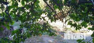 Дом 84м&sup2;, 1-этажный, участок 10 сот.  