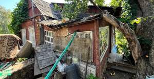 Дом 50м², 1-этажный, участок 5 сот.  