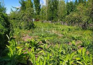 Дом 20м², 2-этажный, участок 4 сот.  