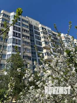 1-к квартира, на длительный срок, 49м2, 2/9 этаж