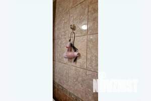 2-к квартира, посуточно, 10м2, 5/9 этаж