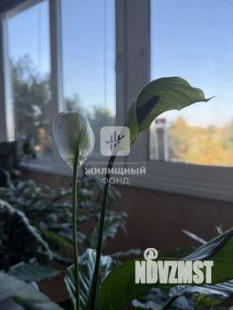 3-к квартира, вторичка, 70м2, 5/9 этаж