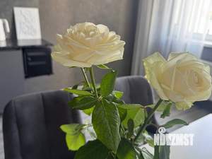 3-к квартира, сданный дом, 74м2, 23/23 этаж