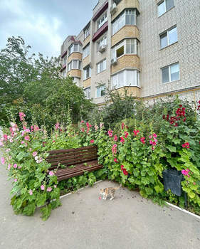 Фото квартиры на продажу (1)