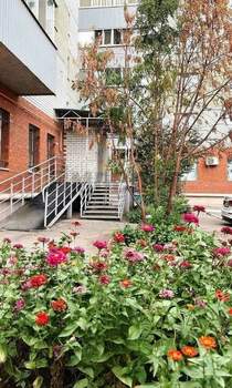 1-к квартира, вторичка, 55м2, 8/10 этаж