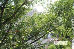 2-к квартира, вторичка, 53м2, 5/9 этаж