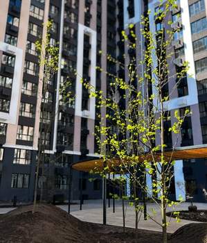 1-к квартира, вторичка, 30м2, 2/10 этаж